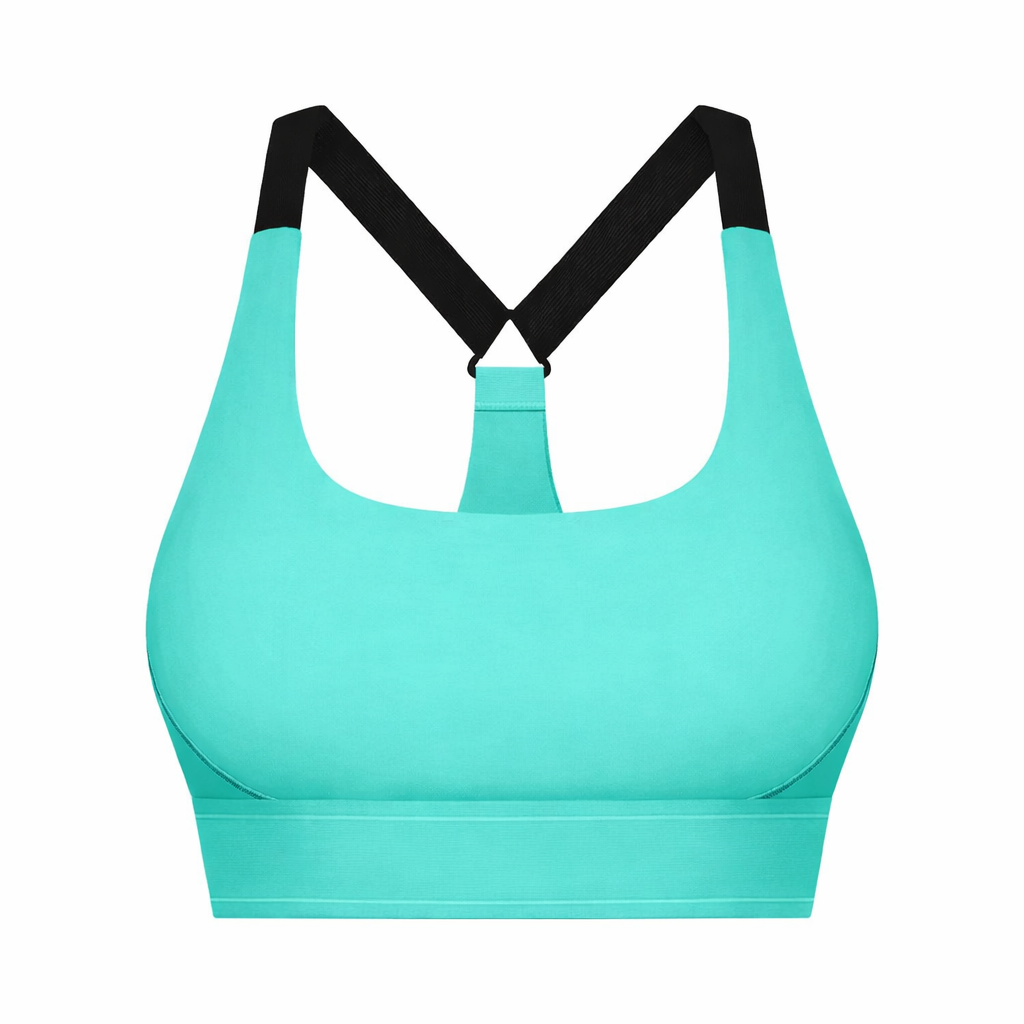 The Aligned Motion Collection